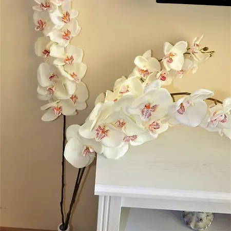 Wine Fairytale Appartement Varna